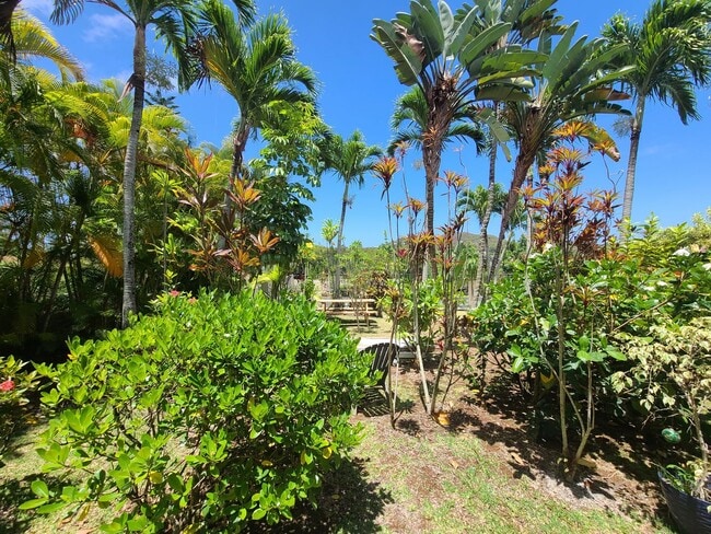 Building Photo - Norfolk 1 bed, 1 bath Rental