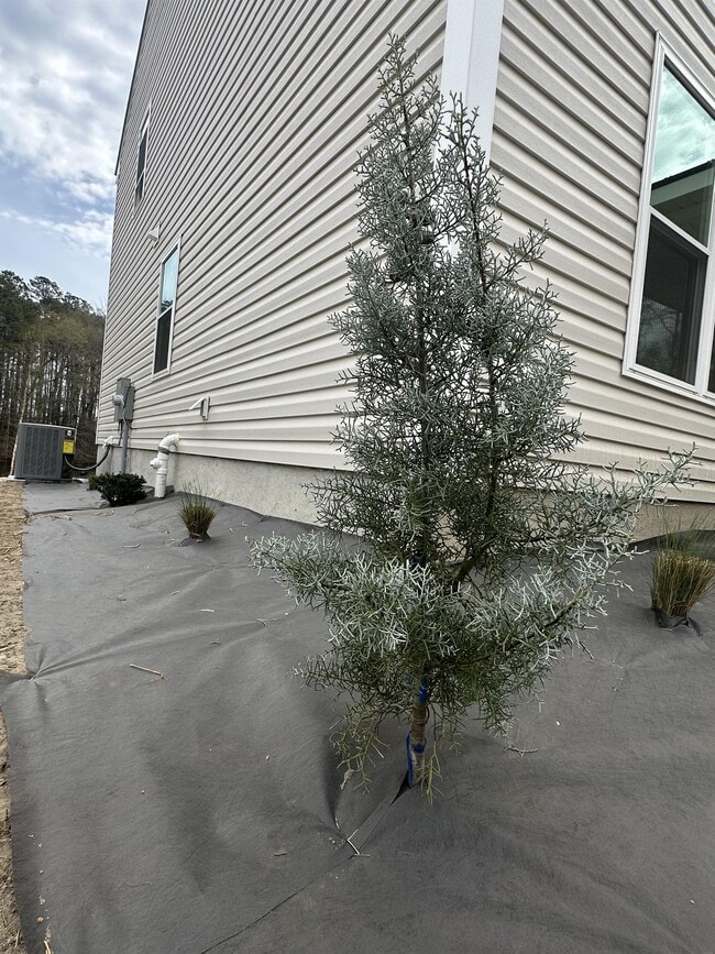 Photo - 157 N Clarendon Dr