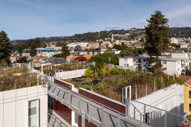 Community Garden