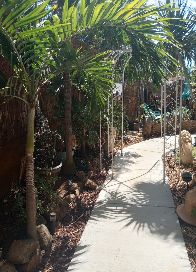 Pathway thru side gardens - 281 Kaikea St