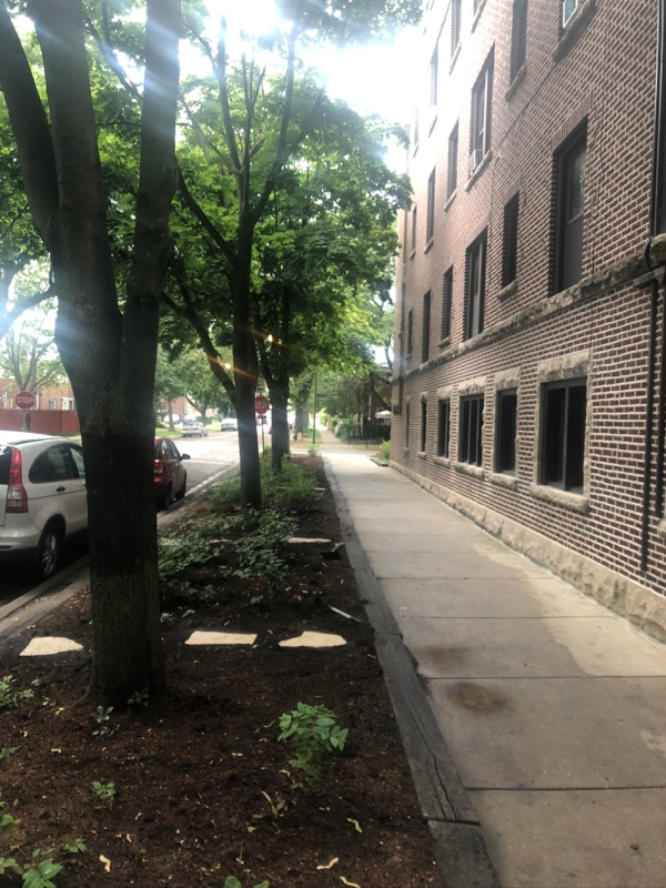 Photo - 1726 W Thome Ave Unidad 2