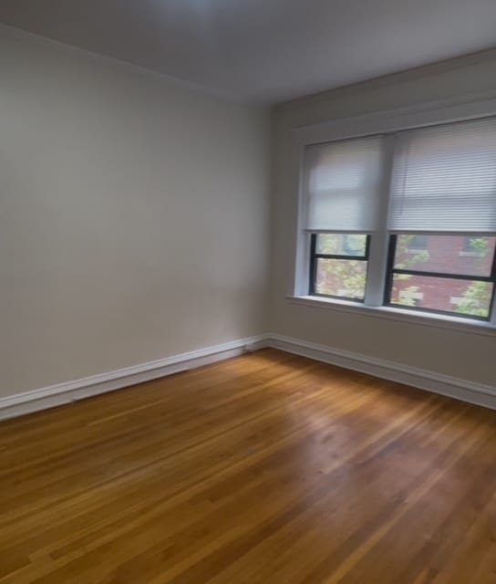 Photo - 64 Maple St