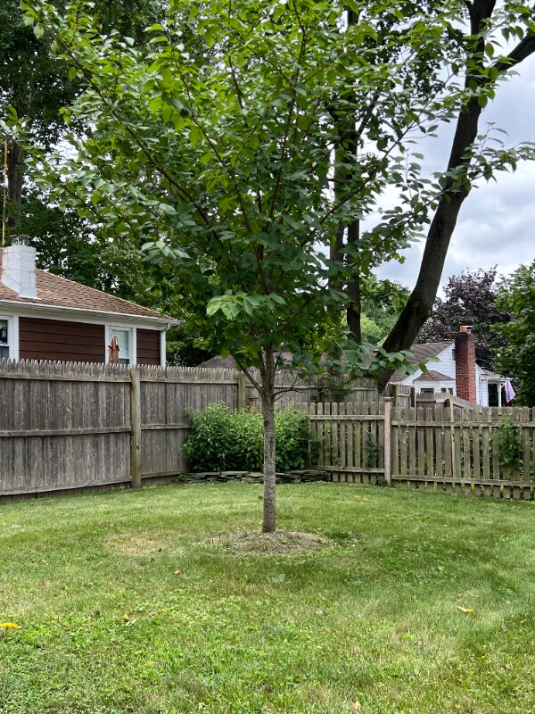 Photo - 33 Laurel Rd