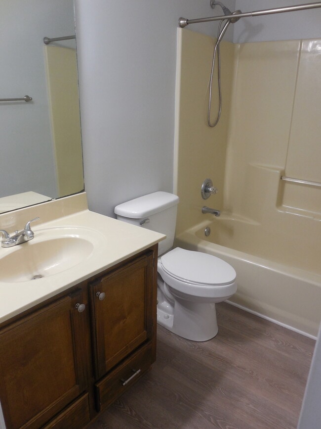 Main bathroom - 305 Chadwyck Cir