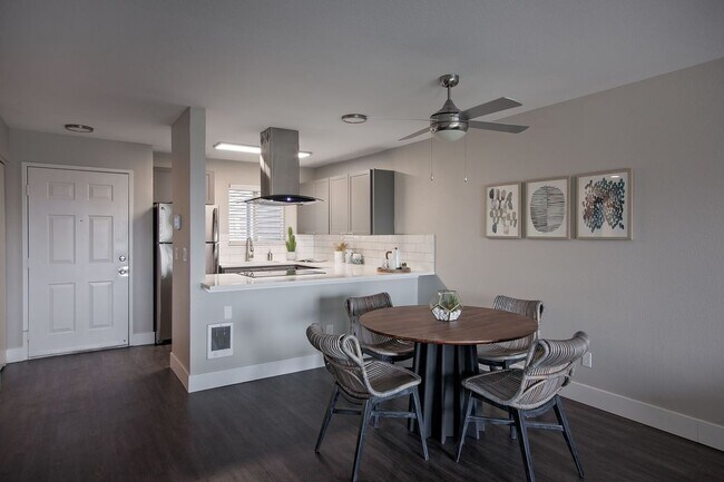 Photo - Milo at Mountain Park