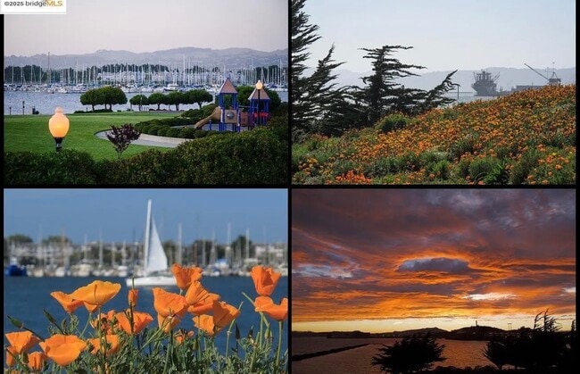 Photo - 15 Shoreline Ct Unit Coming Soon!