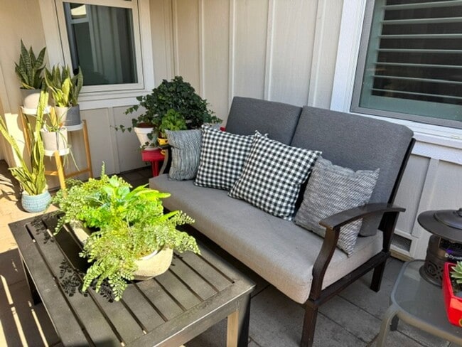 Photo - Beautiful 3 bedroom, 2 bath single level home in the Woodlands-Walnut Creek