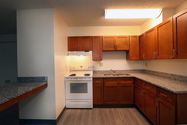 Apartment Home Kitchen