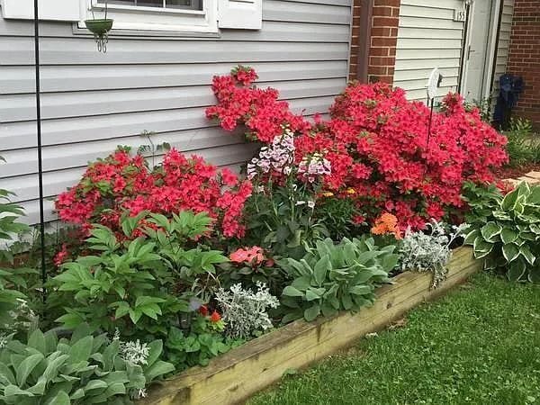 Building Photo - Great 3 bedroom in Leesburg