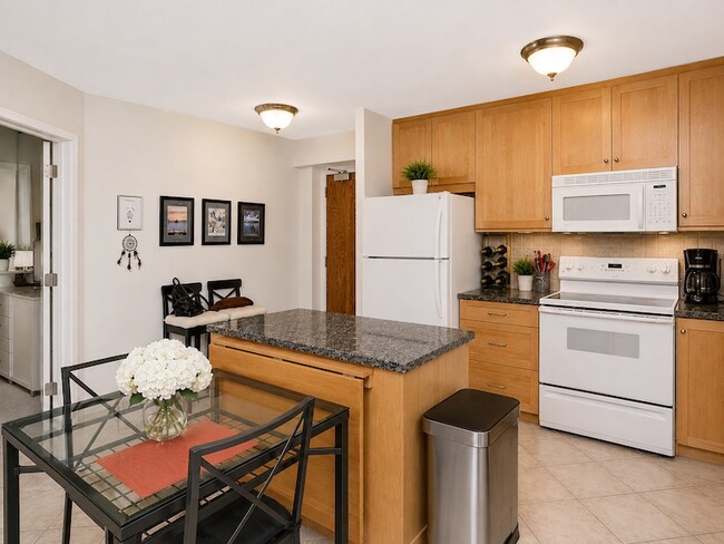 Photo - 155 N Harbor Dr Unit 3306