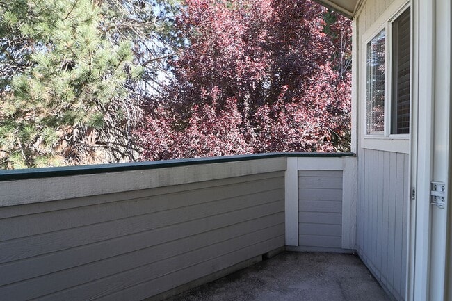 Photo - 2659 Sycamore Glen Dr Unidad 3