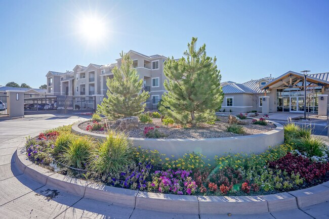 Photo - Olympus Rodeo