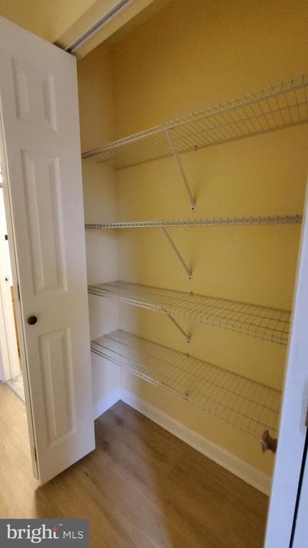 Photo - 8854 Spiral Cut Unit L G 40