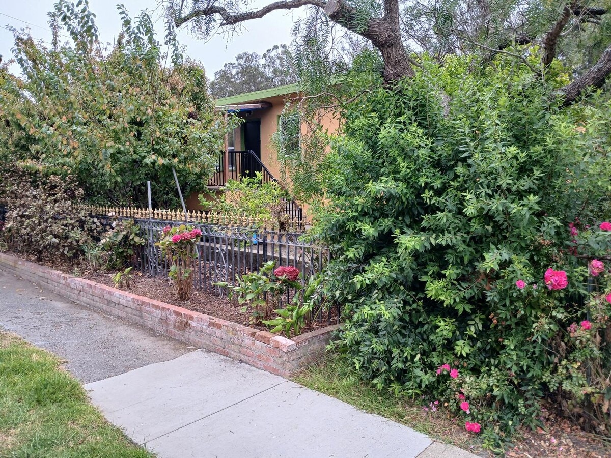 Photo - 411 San Carlos Ave