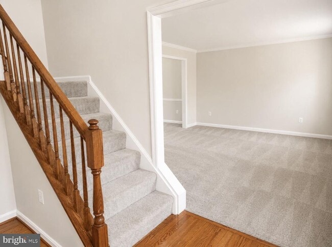 29 Palace Ln