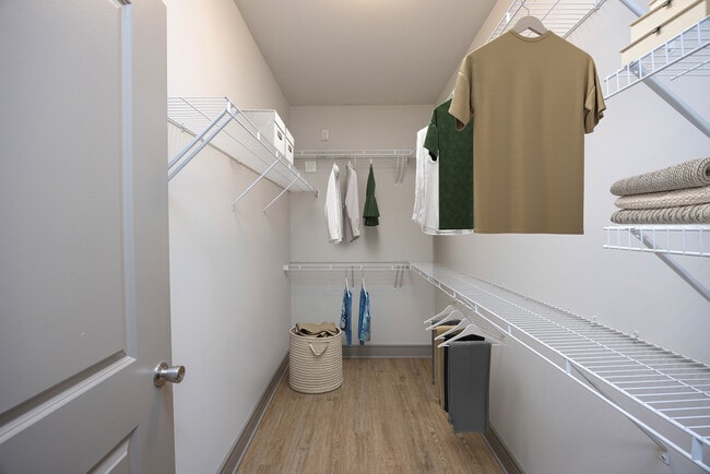 Spacious walk-in closet
