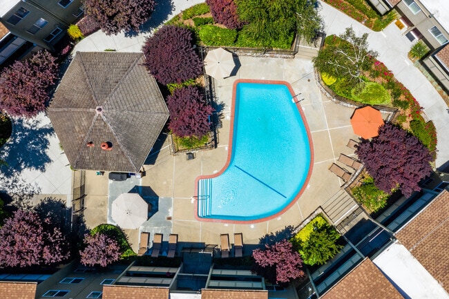 Piscina - Town House Plaza