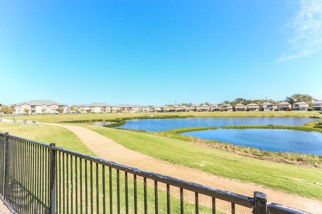 Pond Views