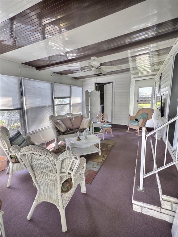 Photo - 46 E Palm Forest Dr