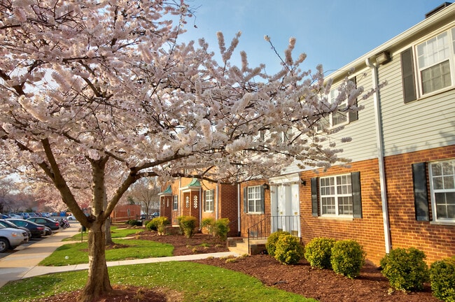 Kingsley Commons Townhouses Property