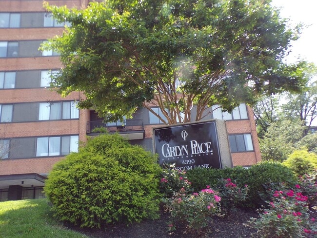 Two bedroom Condo at Carlyn Place - Two bedroom Condo at Carlyn Place Unit 804