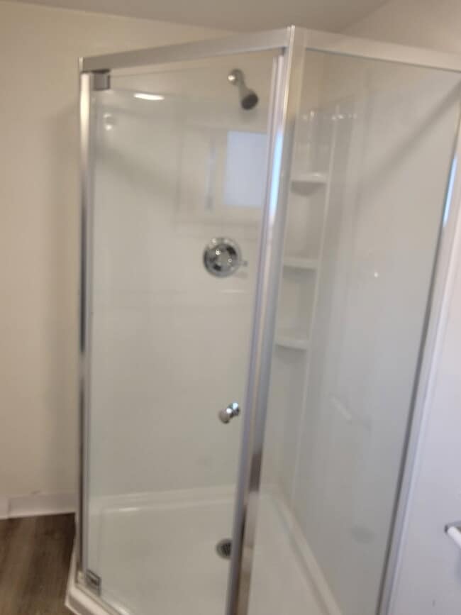 Main Bath--Shower