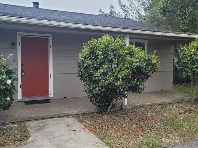 Photo - 380 Yolanda Ave