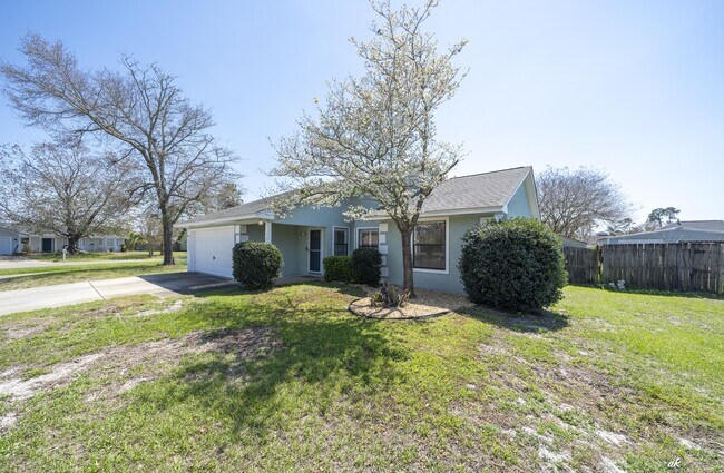 Photo - 307 Fan Palm Pl