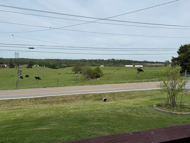 Photo - 1601 Steadmantown Ln Unit 1601-2