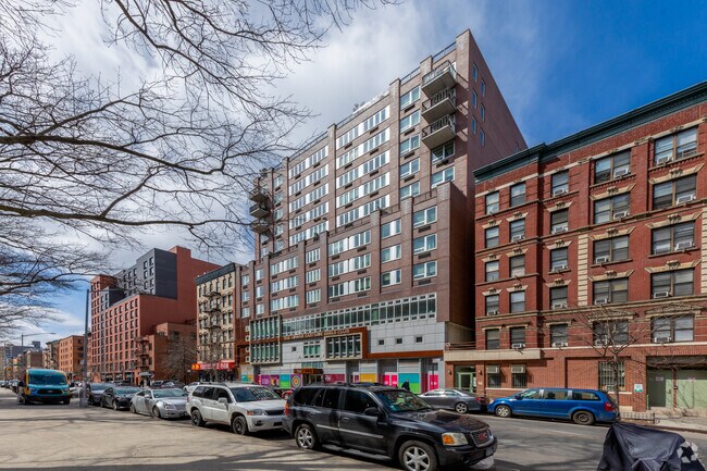 Photo - Arabella 101