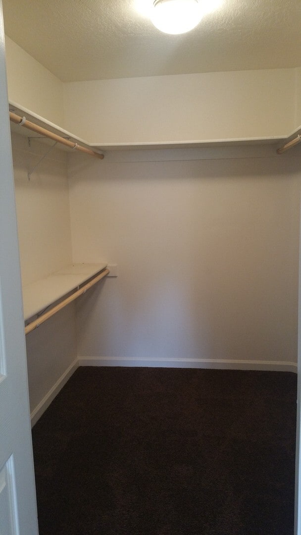 Photo - dooc02 Unidad 4556