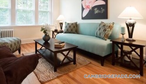 Photo - 18 Chauncy St Unidad 8