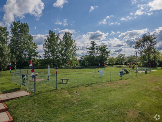 Dog Park