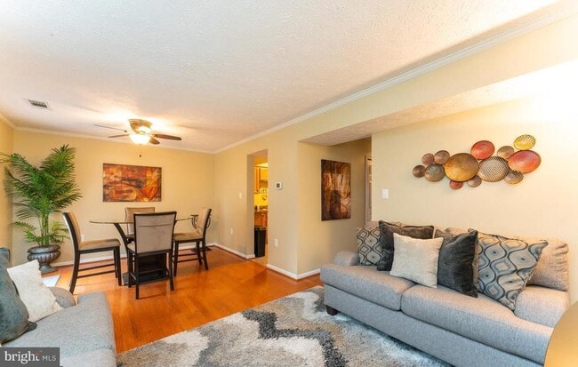 Photo - 6006 Bobcat Ct
