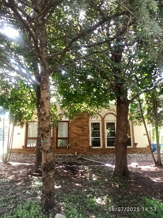 Building Photo - 2826 67th St Rental