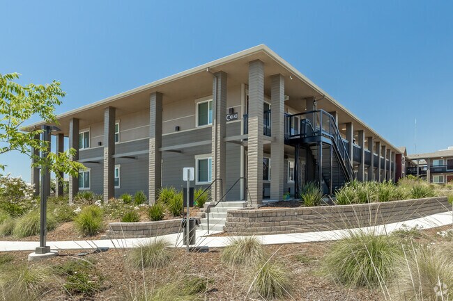 Courtyards on Orange Grove - Courtyards on Orange Grove Apartments