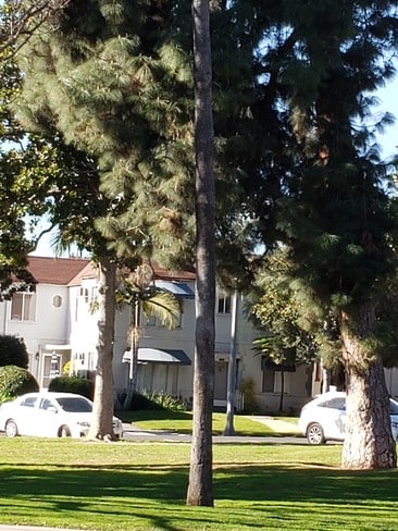 4PLEX / 2nd FL - 305 N Palm Ave