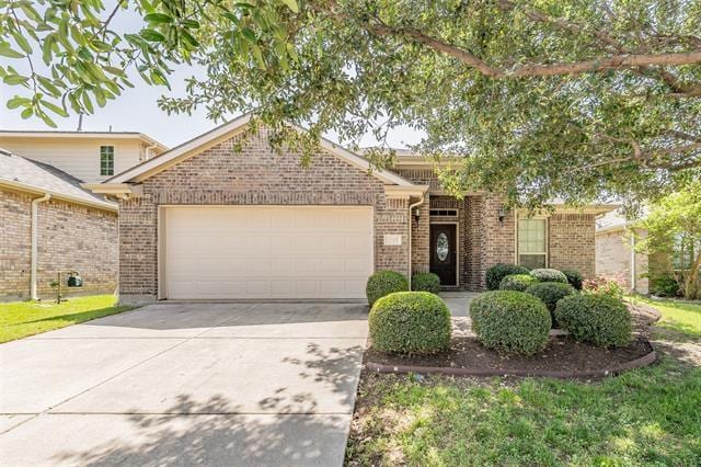 Building Photo - 1313 Catbird Dr