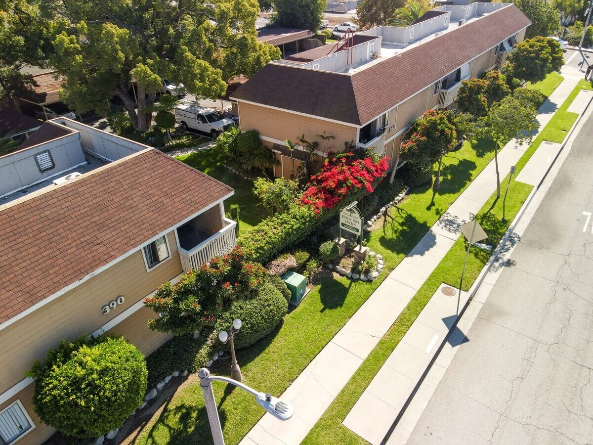 Photo - English Oaks