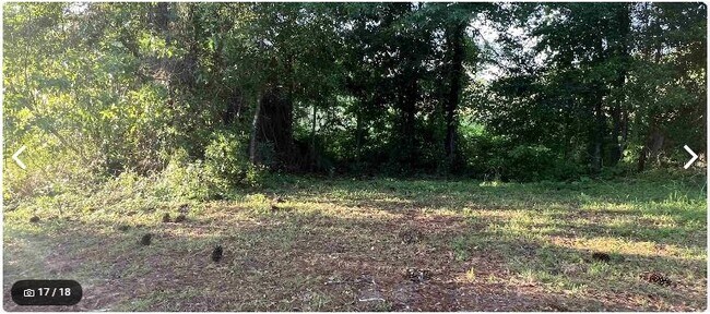 Photo - 223 Ayers Ct