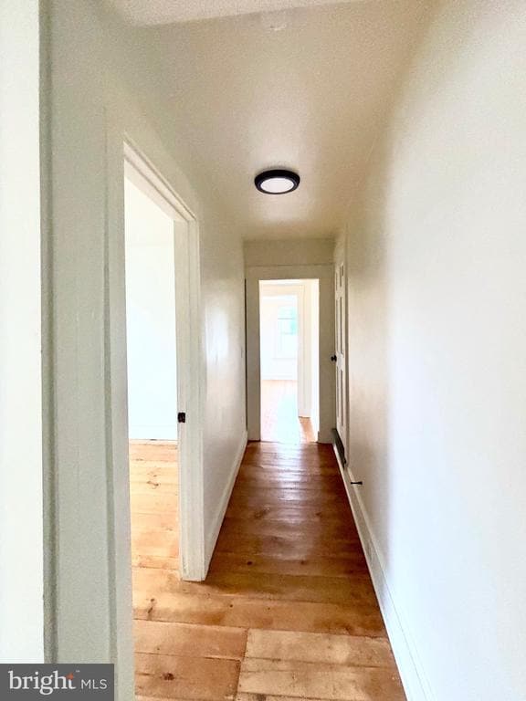 Building Photo - 28 Caroline St