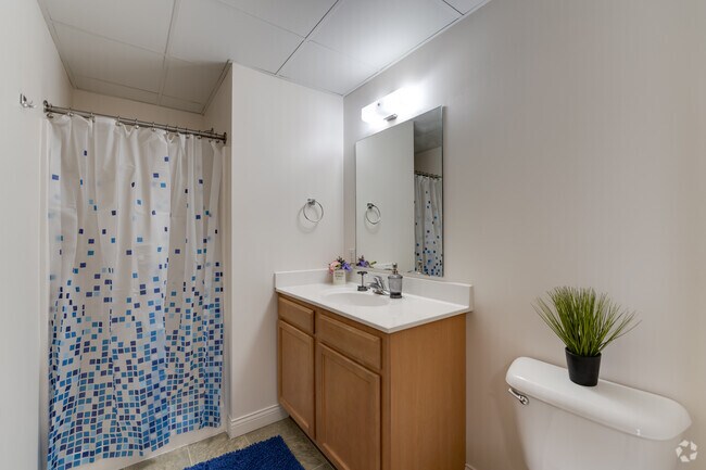 One Bed One Bath