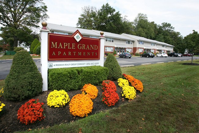 Photo - Maple Grand