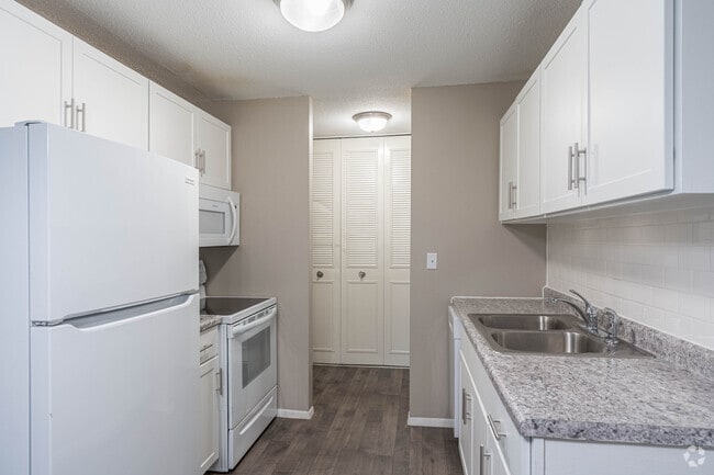Renovated 1BR,1BA - 700SF - Kitchen