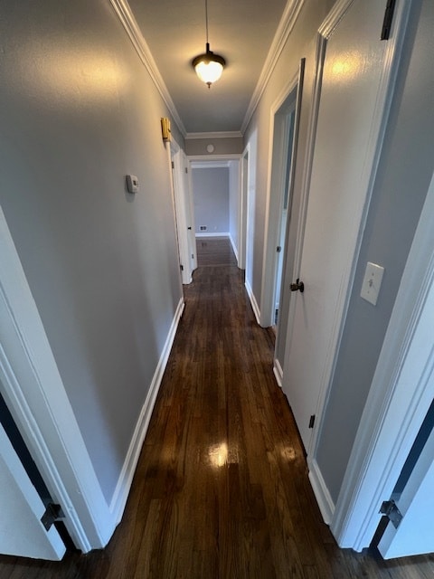 2 Longwood Dr