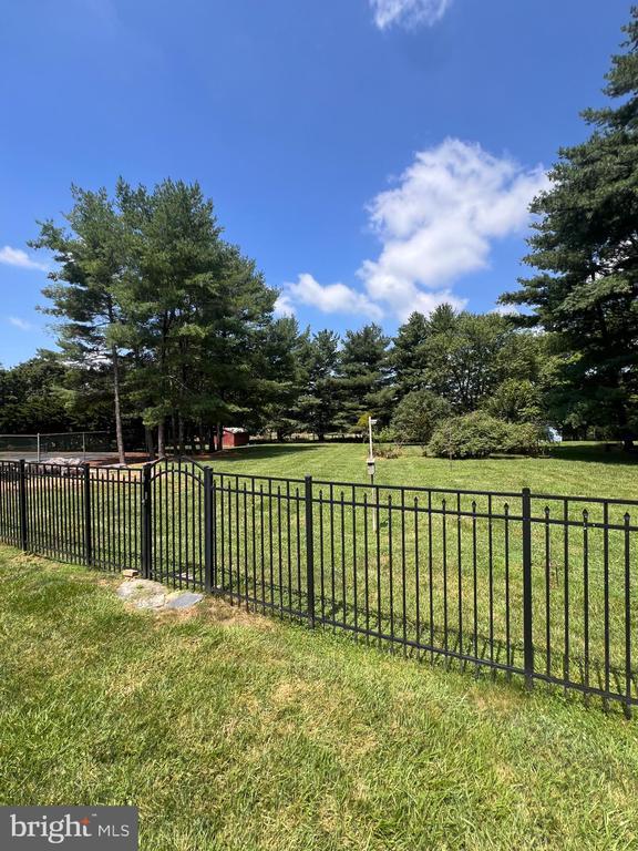 Photo - 245 Treeline Dr