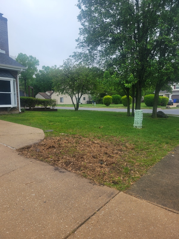 Photo - 19 Danville Ct