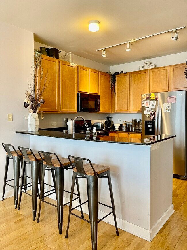 Photo - 1841 S Calumet Ave Unit 1809