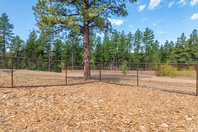 Dog Park - Lofts on the Mesa