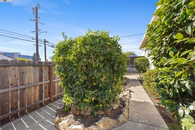 Photo - 19695 Bernal St